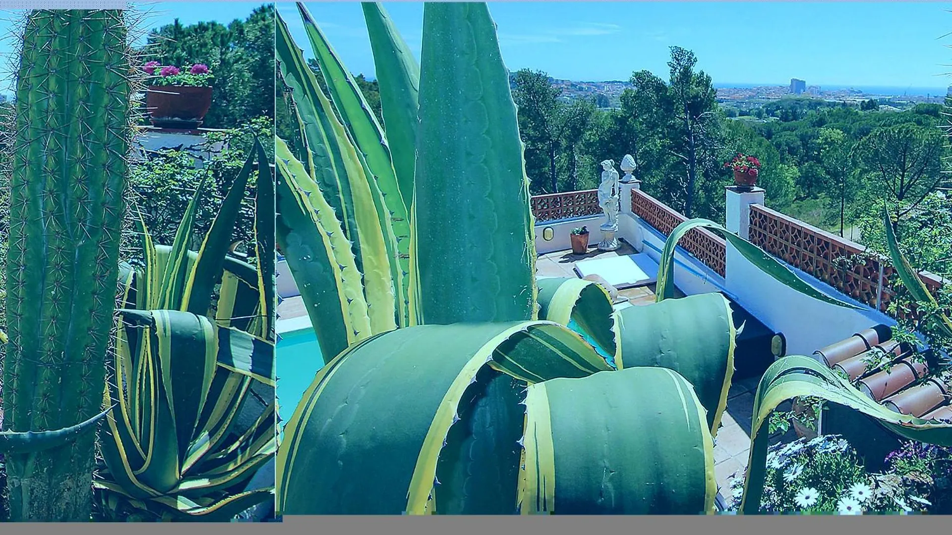 Nice Apartment In Palamos With House Sea View Sant Joan de Palamós España